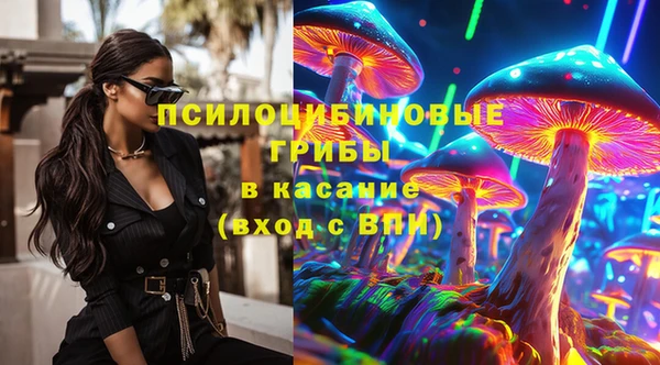 PSILOCYBIN Абаза