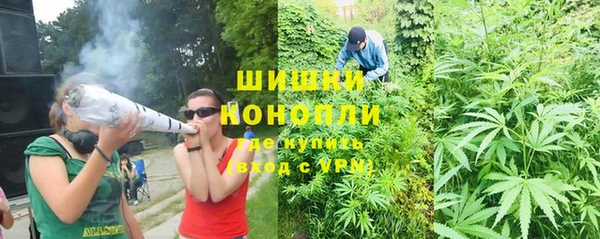 PSILOCYBIN Абаза