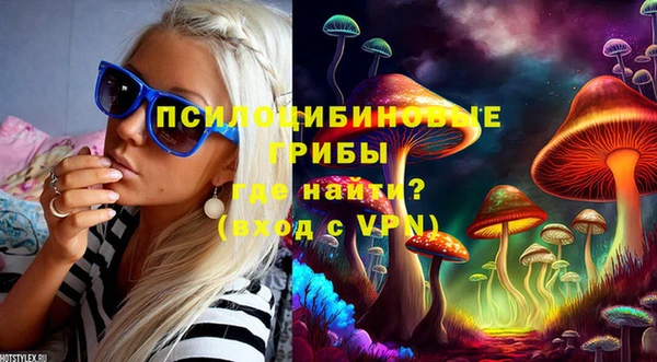 PSILOCYBIN Абаза