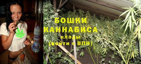 PSILOCYBIN Абаза