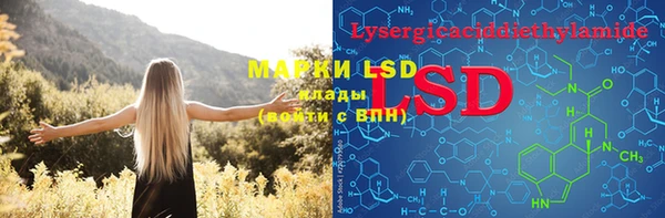 PSILOCYBIN Абаза